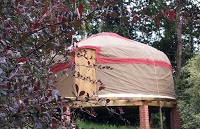 Woodsmoke Yurts 1066020 Image 3